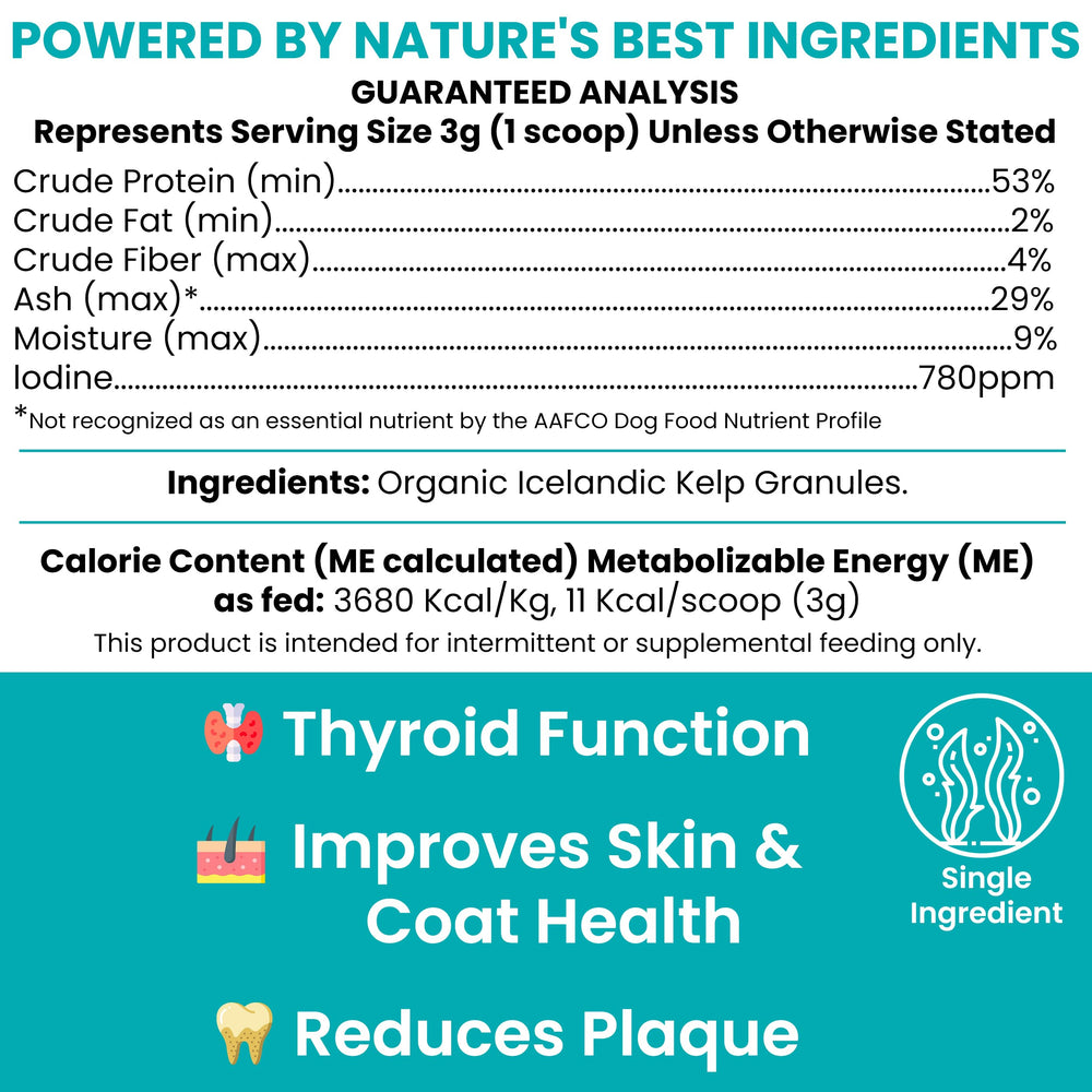 5cc spoon included with Chew + Heal Labs kelp powder for easy dosing.