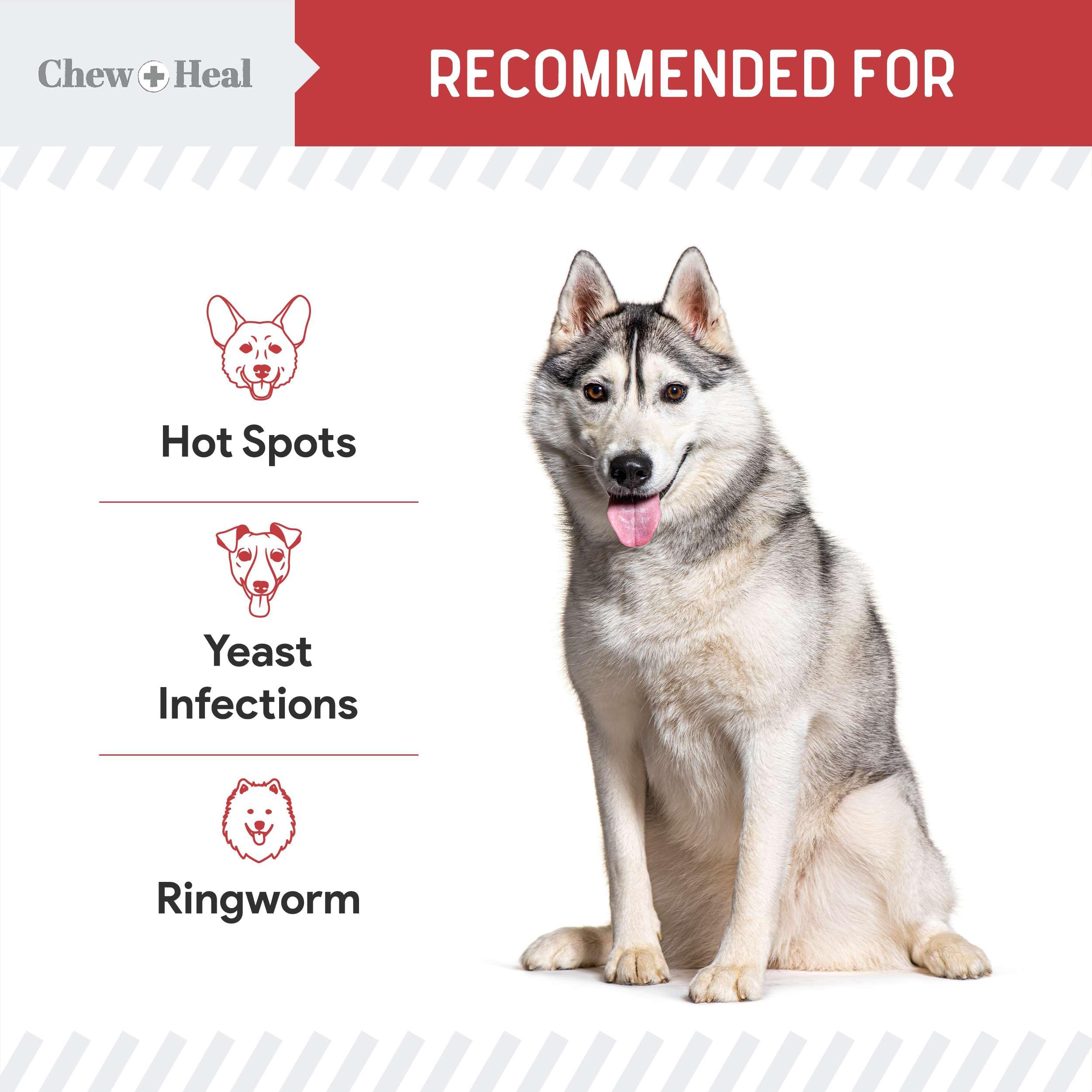 Chew Heal Labs 50-count jar for convenient daily use
