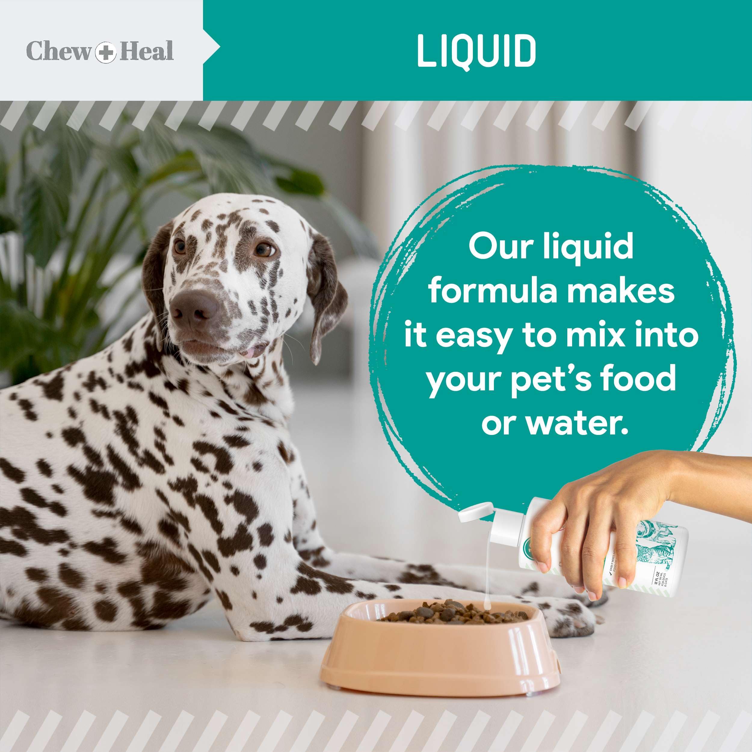 USA-made Chew + Heal Labs dewormer label highlighting origin and quality.