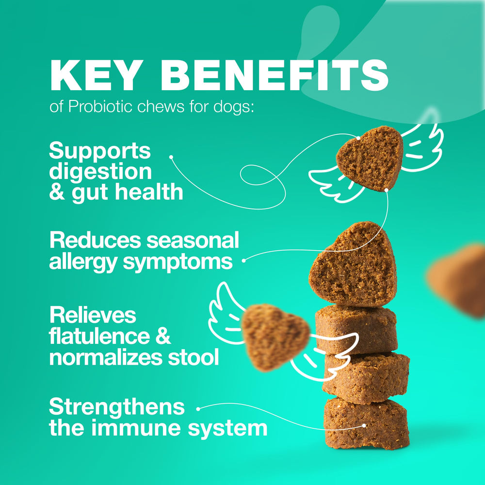 CHEWIA digestive-enzymes enhance nutrient absorption for dogs