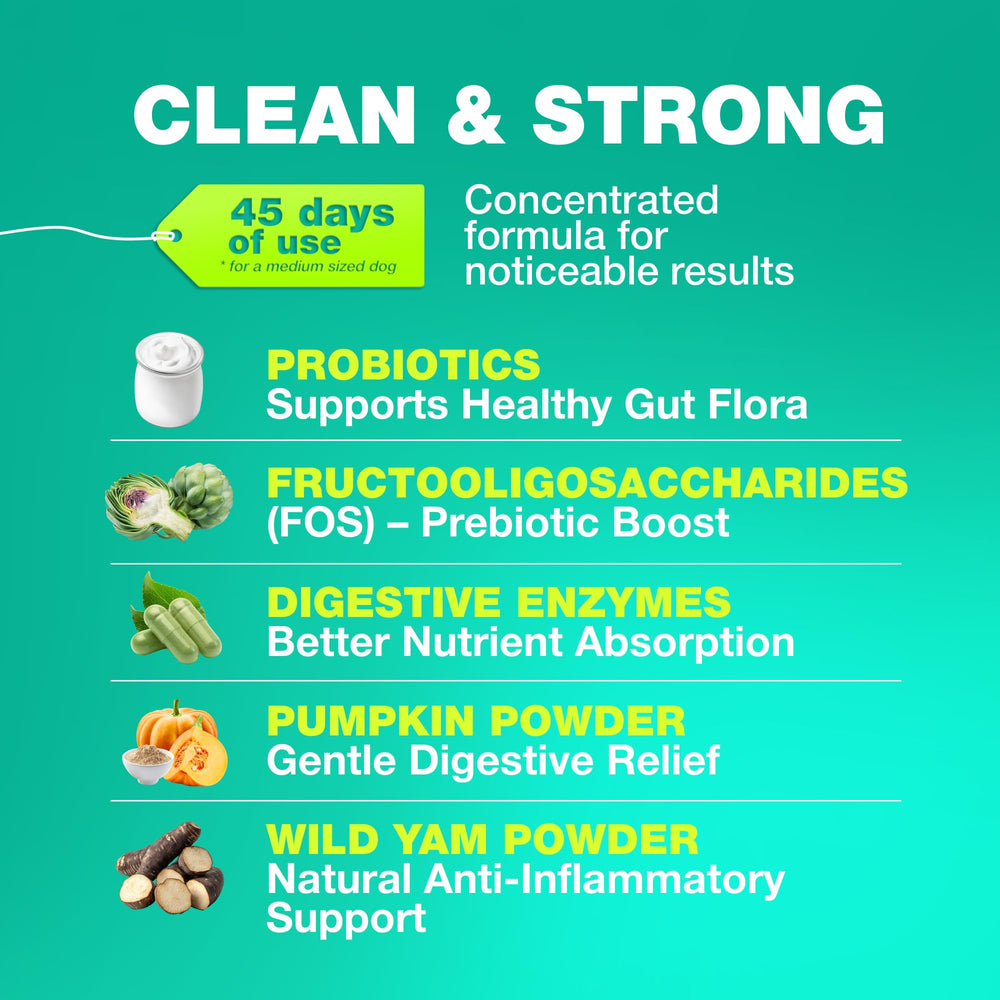 CHEWIA duck-flavor chews supporting gut balance in dogs