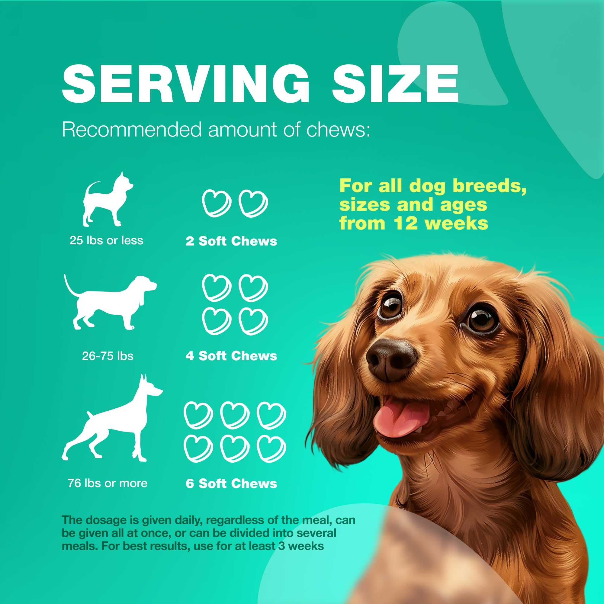 CHEWIA immunity-support chews for gut-friendly immune hints