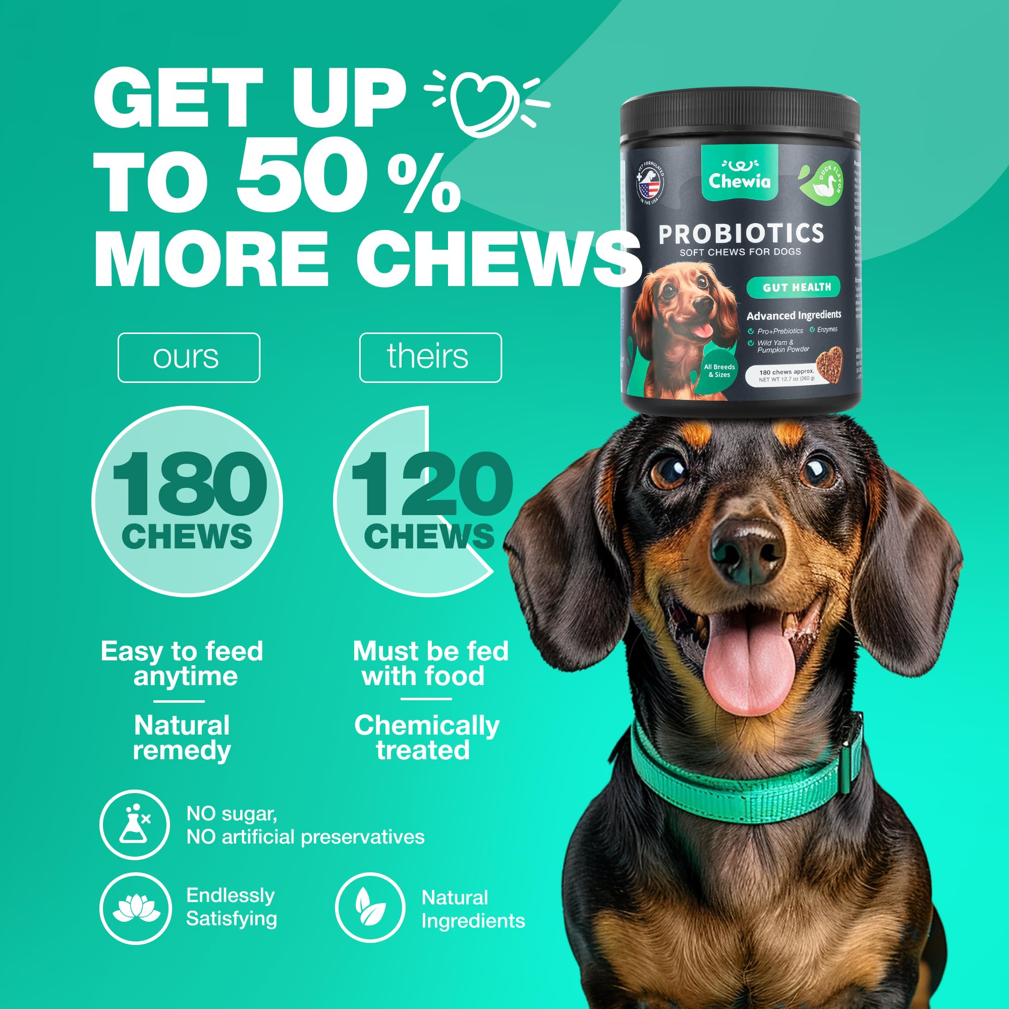 CHEWIA skin-coat-benefits for healthier dog coat and skin