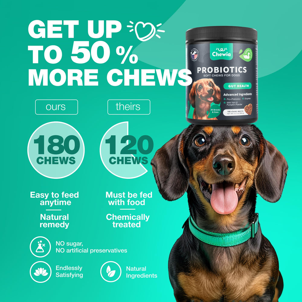 CHEWIA skin-coat-benefits for healthier dog coat and skin