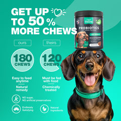 CHEWIA skin-coat-benefits for healthier dog coat and skin