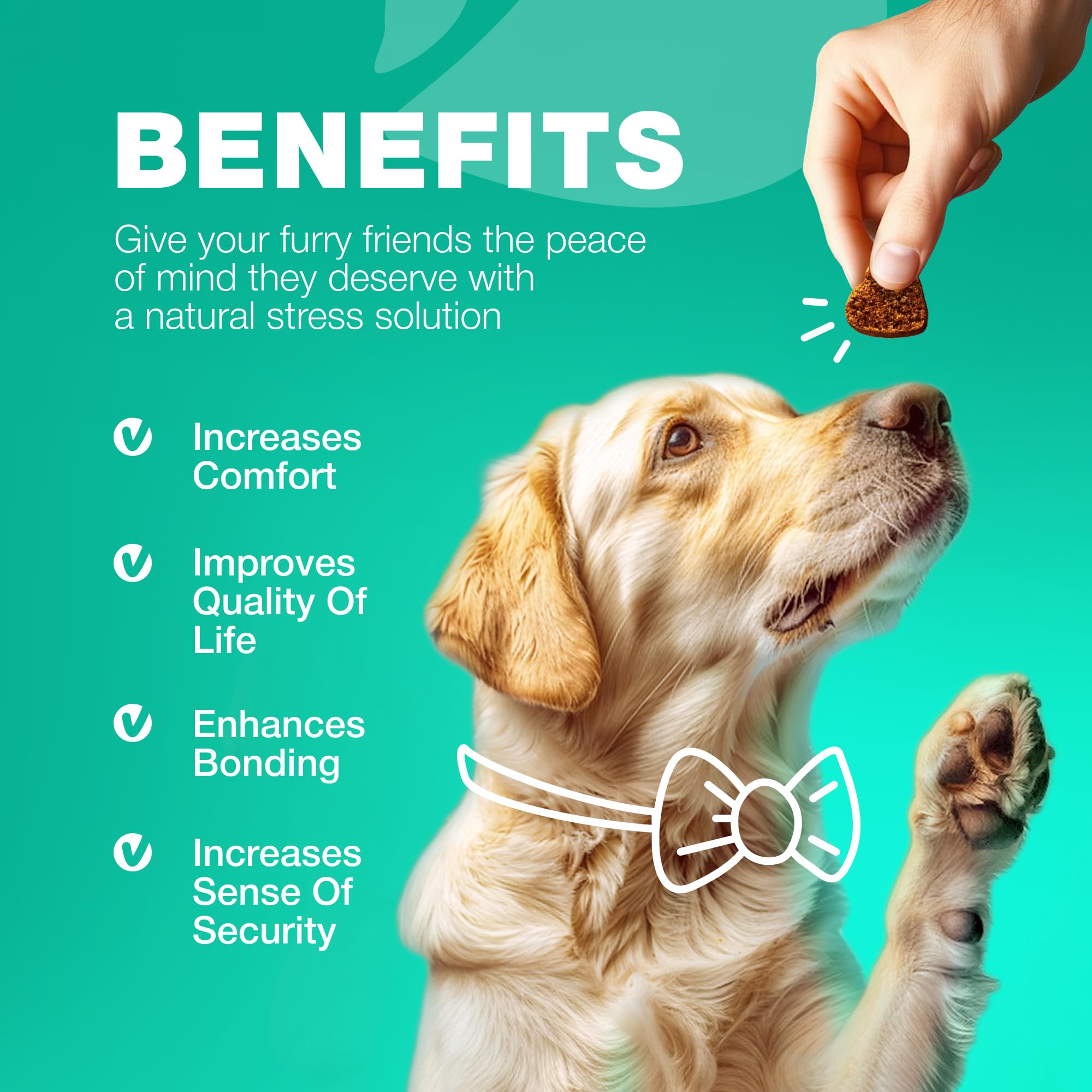 CHEWIA wild-yam infusion nourishes digestive balance in dogs