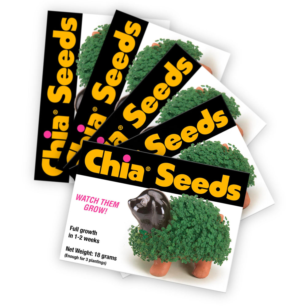 Chia Seed Packet by Chia: five packets for multiple plantings and endless growth