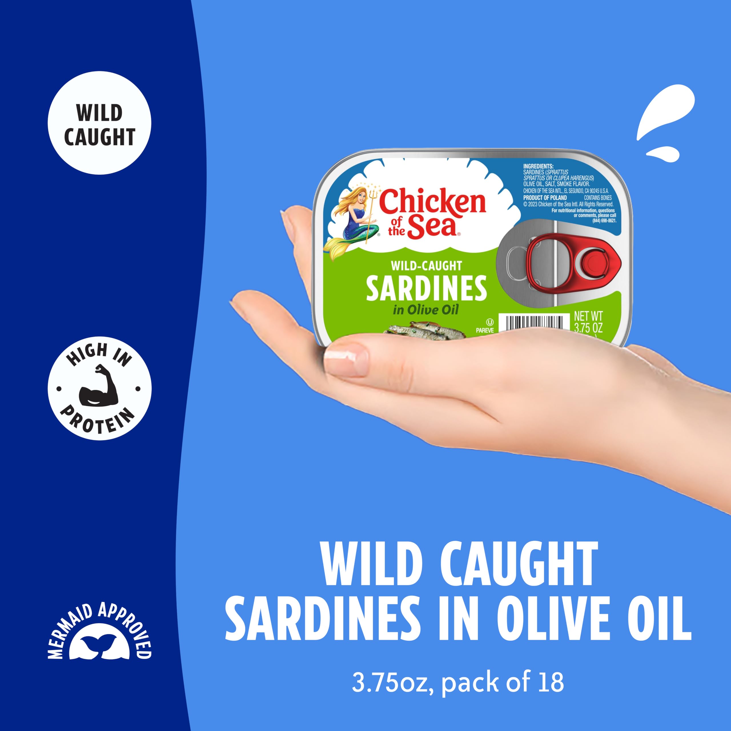 Sardines in olive oil served on a plate, ready-to-eat.