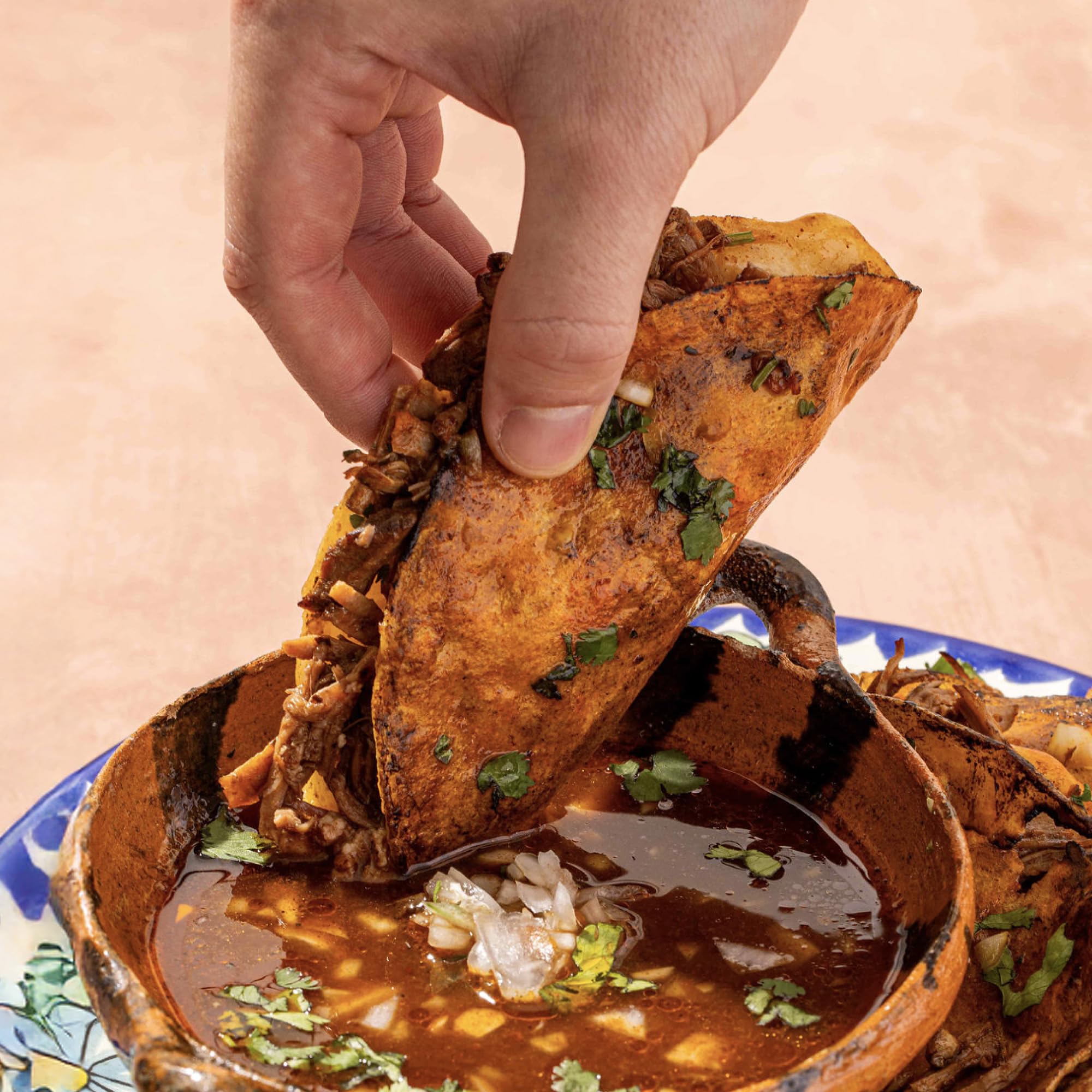 Chilemoy Birria Balls enchiladas plate highlights convenience and authenticity.