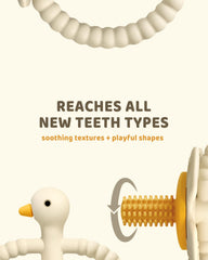 ChooKaChoo soft-bristle teething brush for gum massage