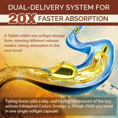 Shilajit extract 300 mg per serving highlights cellular energy benefits