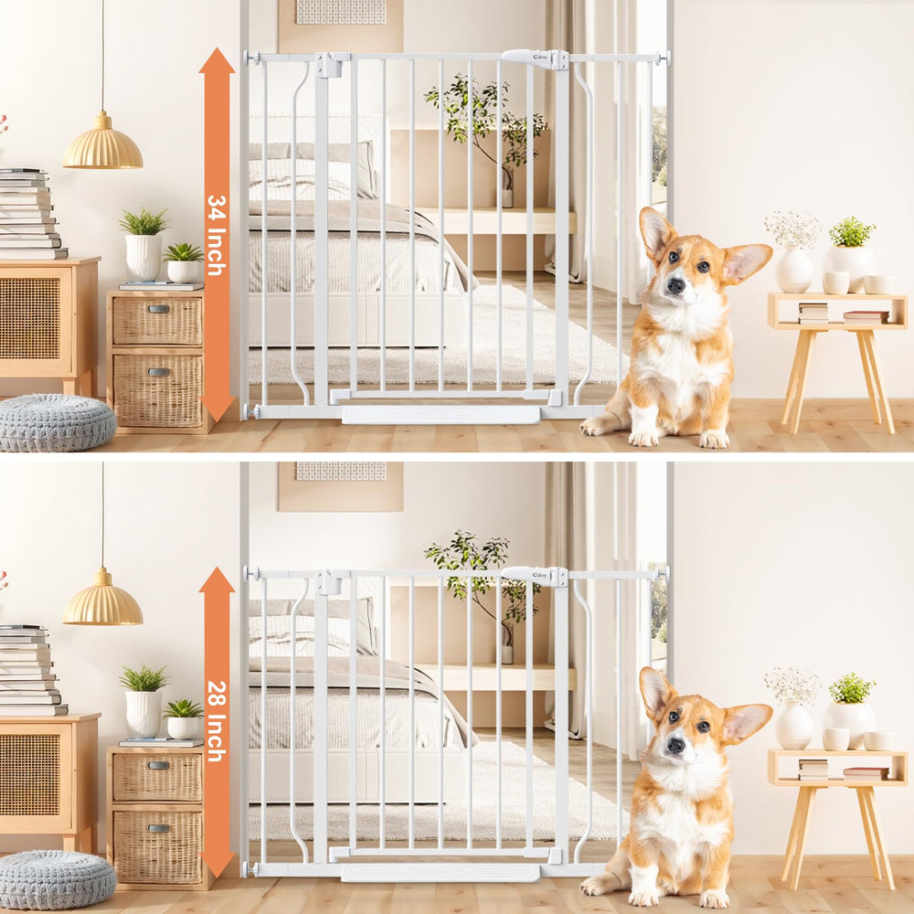 Cideny dual-lock safety design enables easy adult access while keeping kids contained