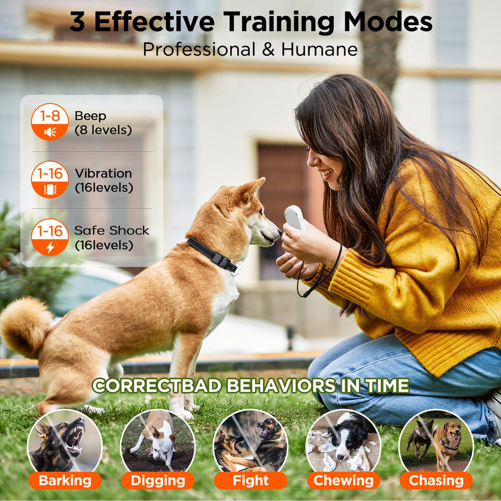 CIUZL dog collar light mode for nighttime visibility