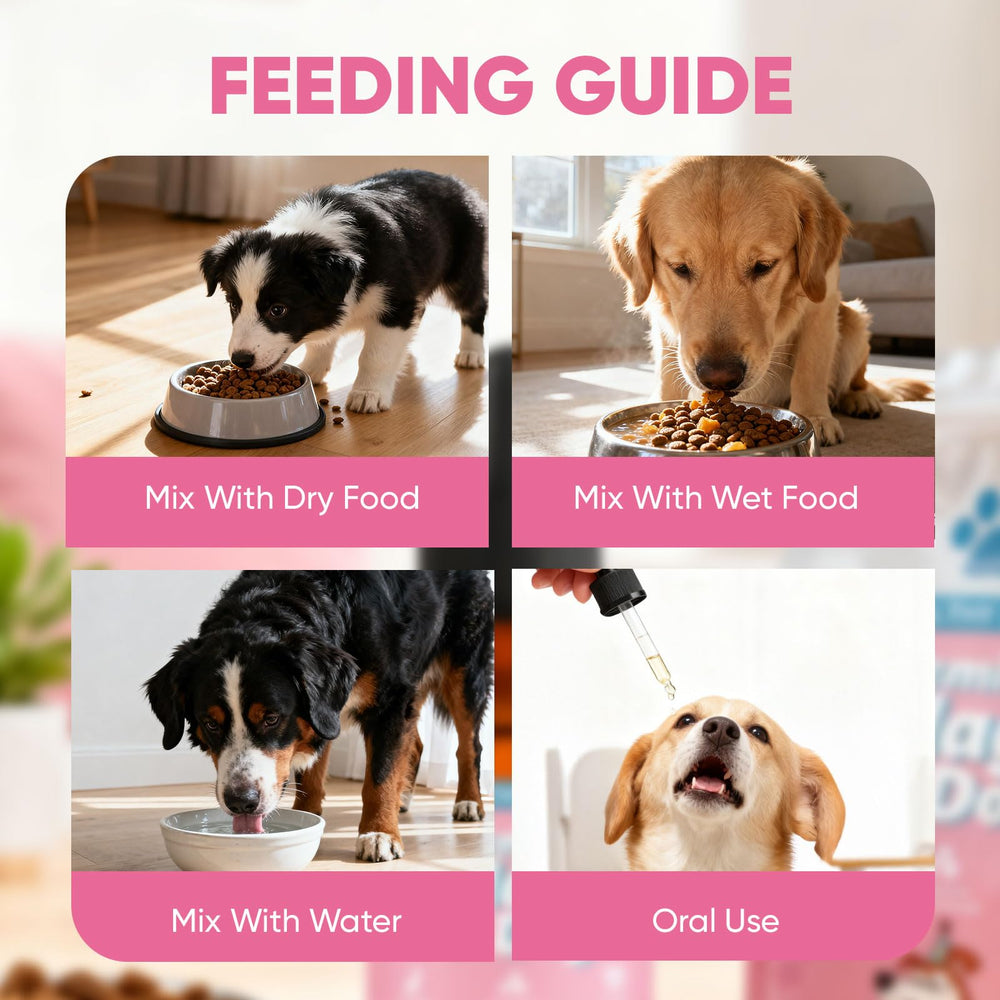 CIVGICY Healthy Petz Collagen promotes coat shine and skin comfort