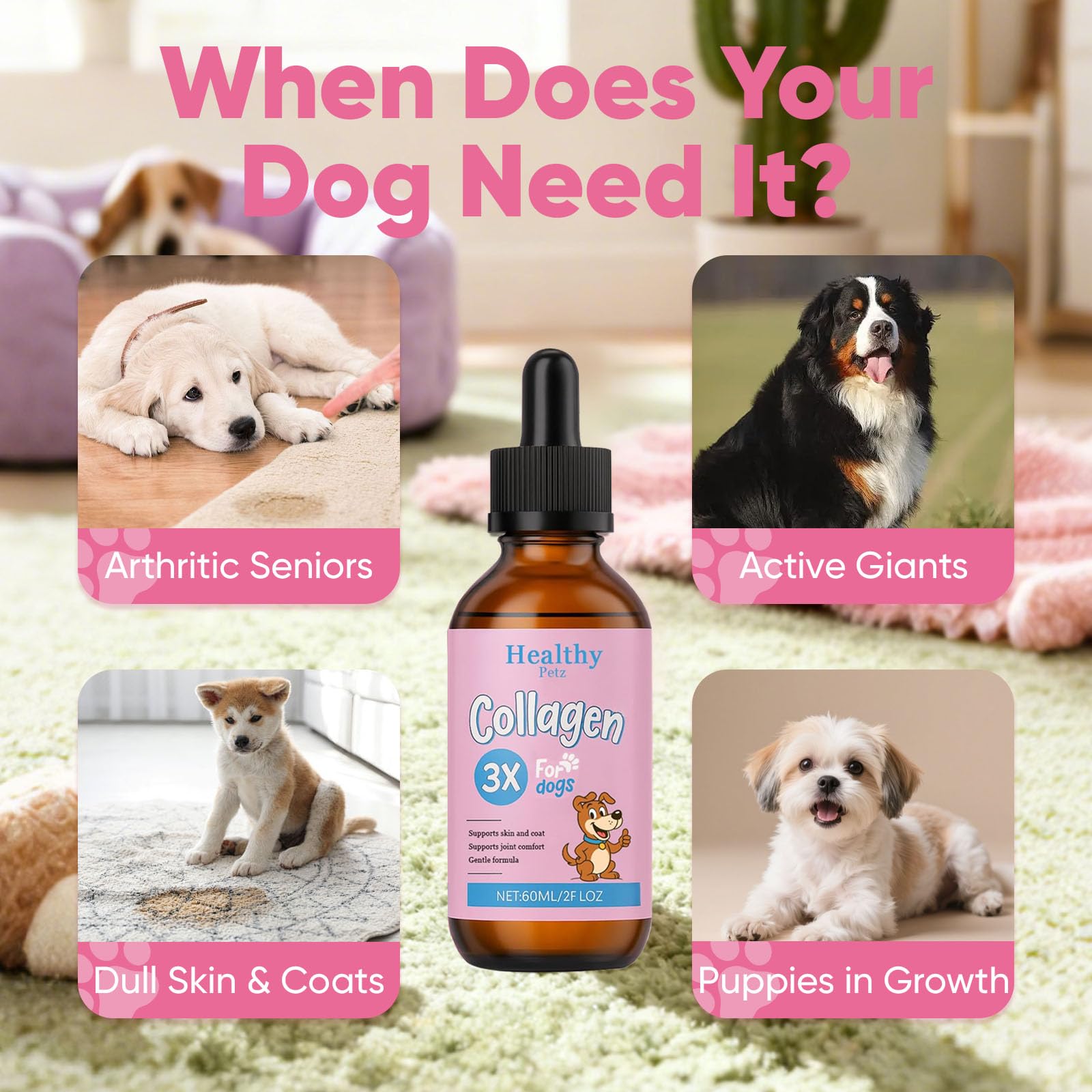 CIVGICY Healthy Petz Collagen liquid dosing bottle in use