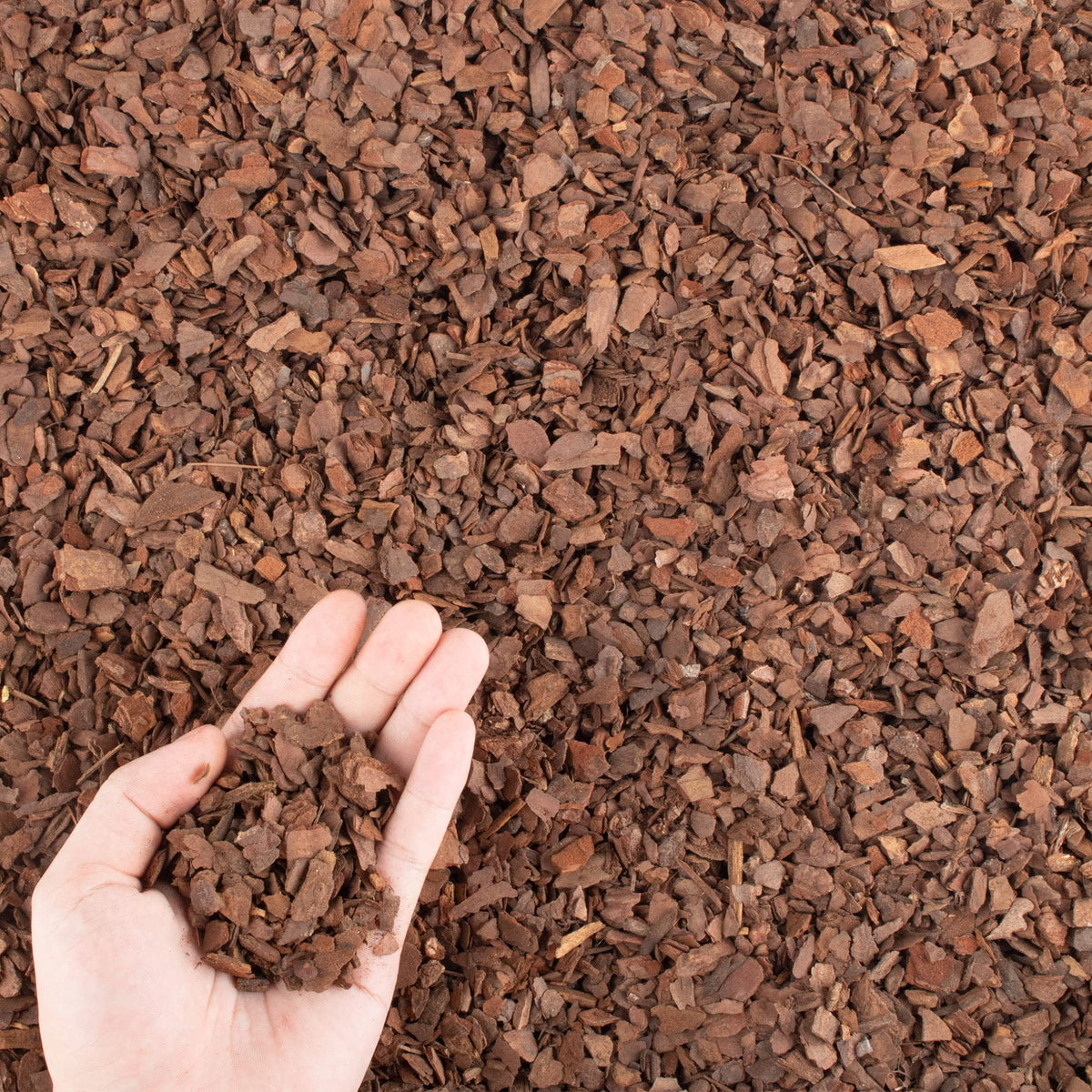 CJGQ 9qt orchid bark bag ready for potting and mulch
