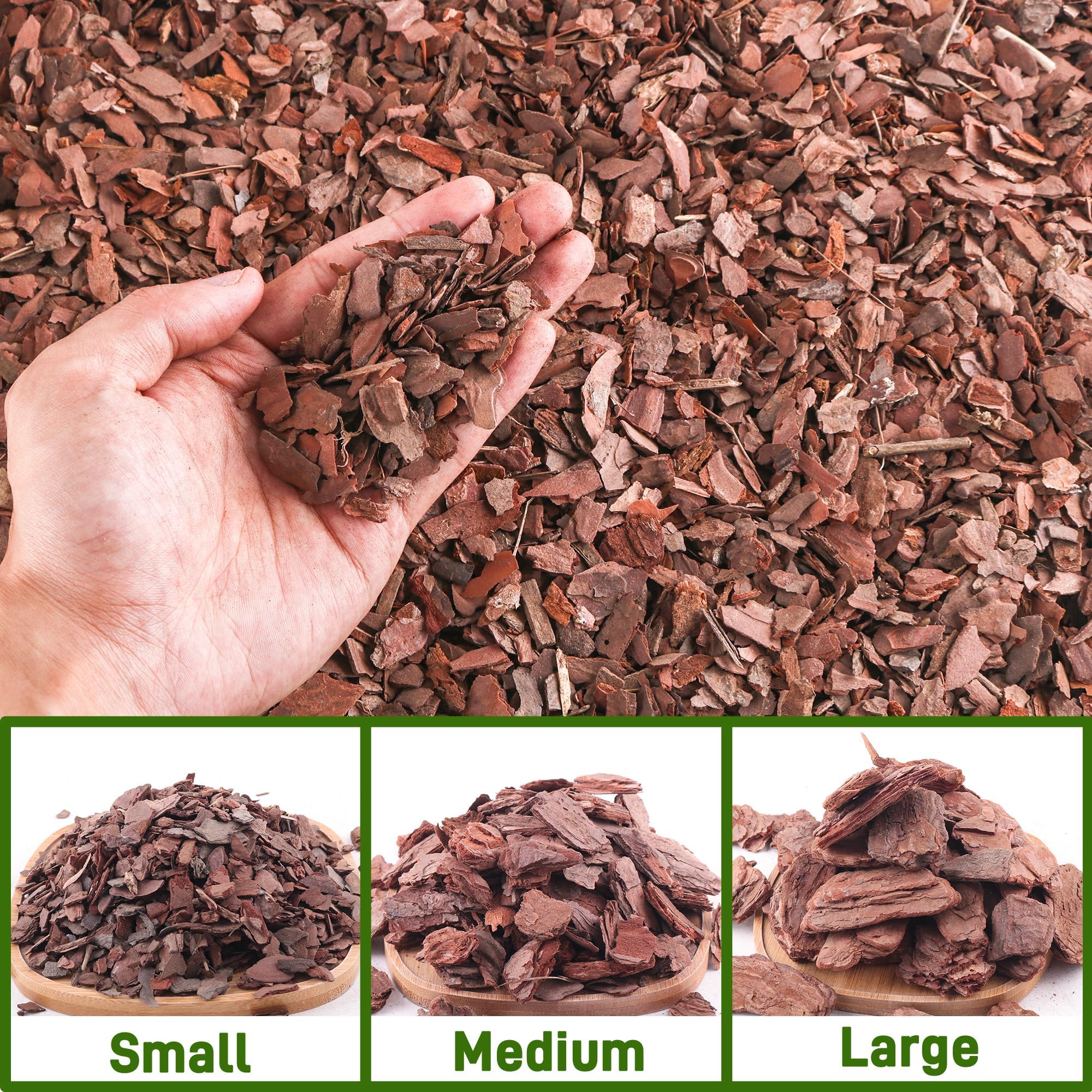 CJGQ mulch-ready bark simplifies potting and maintenance.