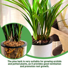 CJGQ natural pine bark as an organic mulch provides nutrients for plant growth.