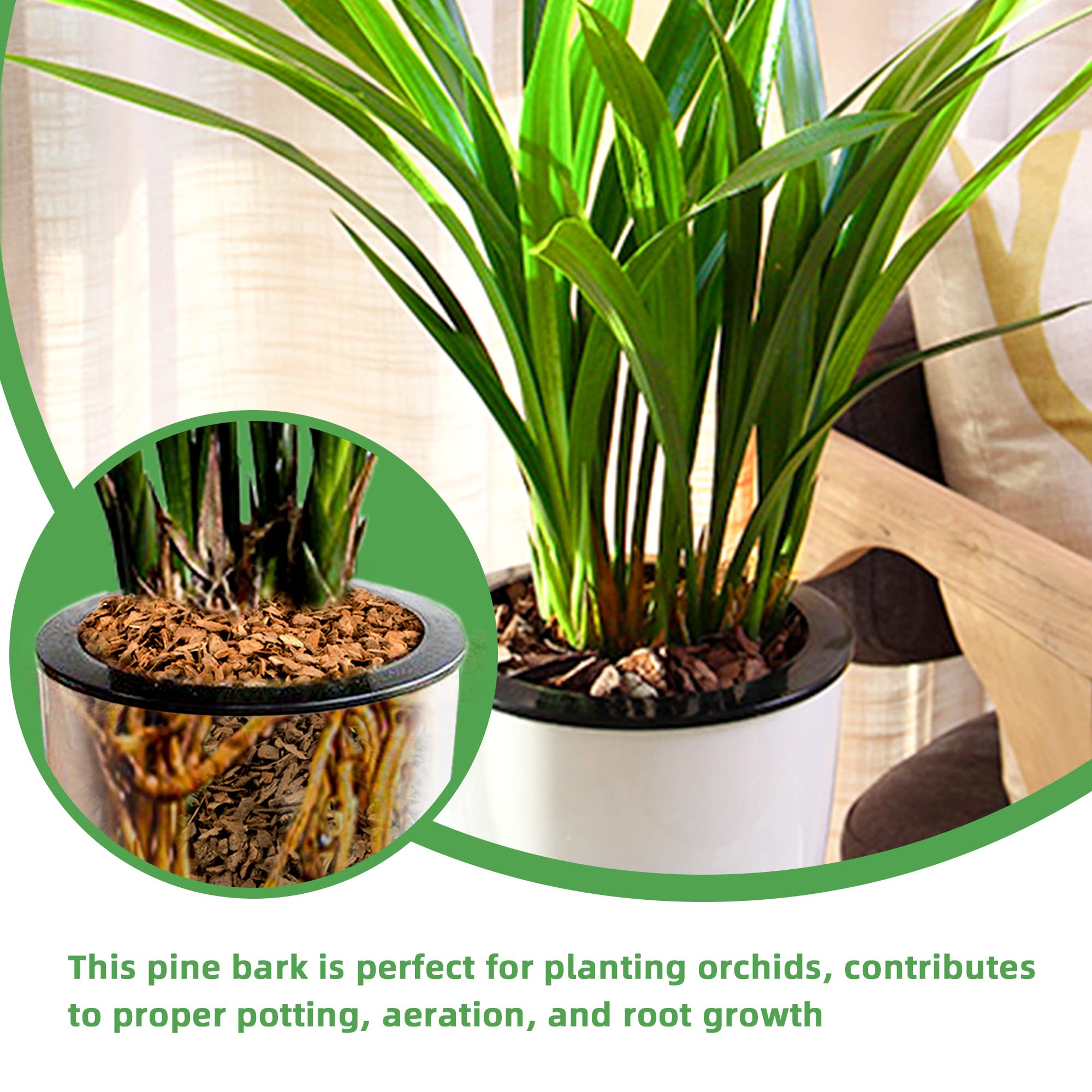 CJGQ organic substrate with bark supports drainage