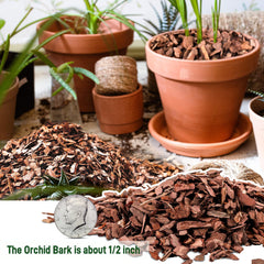 CJGQ pine bark voids for airflow illustrates mulch that promotes oxygen around roots.