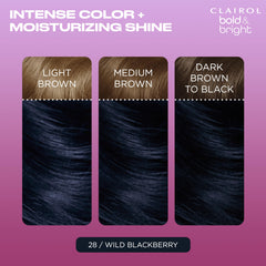 Clairol Bold & Bright color boost glaze to amplify color.