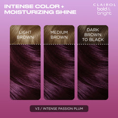 Clairol Bold & Bright permanent color cream for reliable, even coverage.