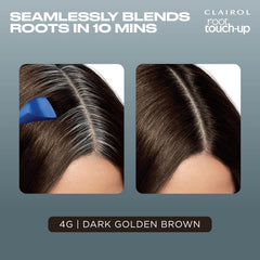 Clairol Root Touch-Up application brush delivers precise roots.