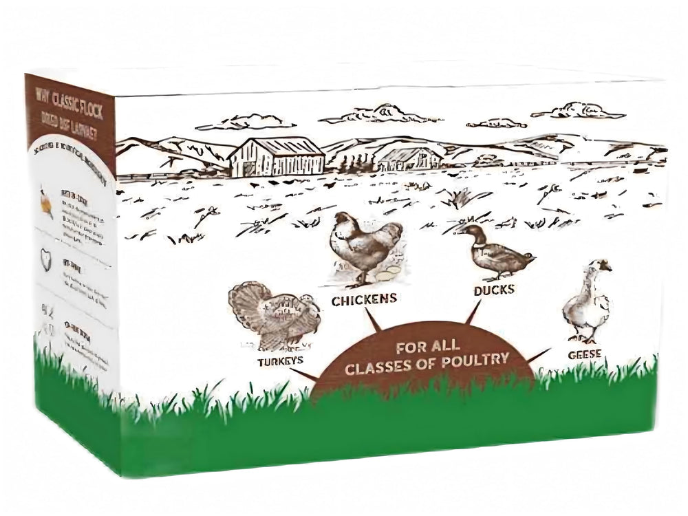 Classic Flock BSF larvae support ducks and wild birds with a tasty protein treat