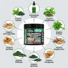 Chlorella and slippery elm visuals with Clean Nutra for gut-friendly nourishment
