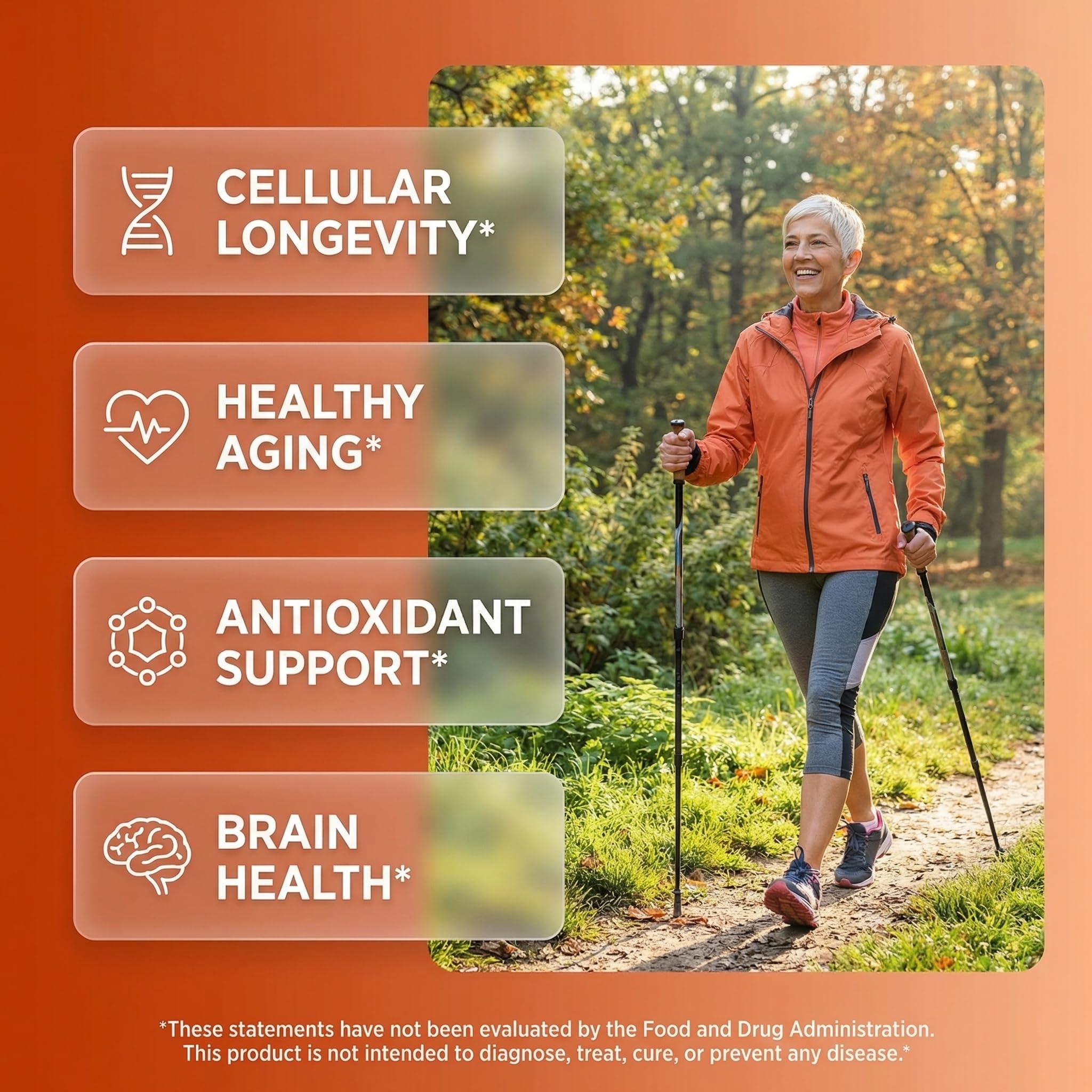 Clean Nutra capsules close-up show smooth, uniform capsules for easy ingestion