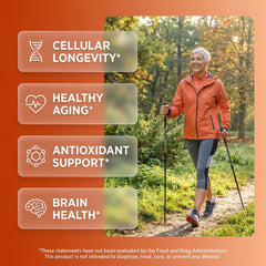 Clean Nutra capsules close-up show smooth, uniform capsules for easy ingestion
