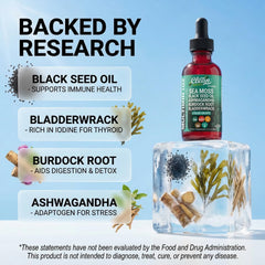 Clean Nutra Irish sea moss liquid emphasizes natural nutrition for skin and energy.