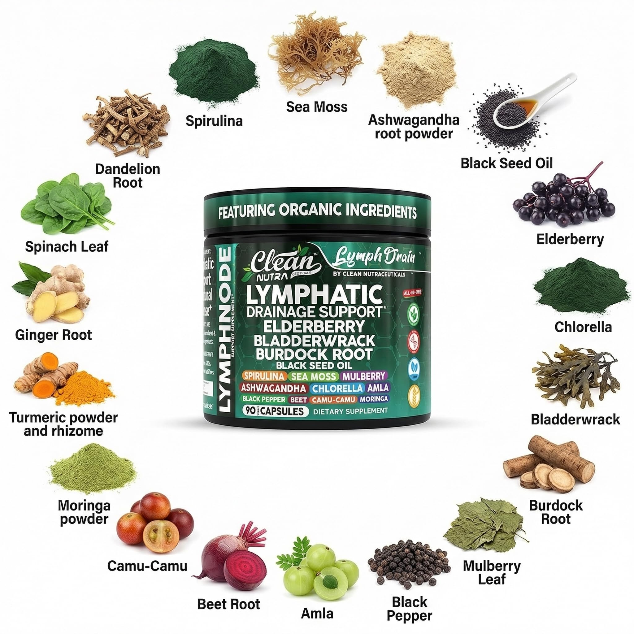 Clean Nutraceuticals Sea Moss and Bladderwrack capsules on a white background for mineral-rich nourishment.