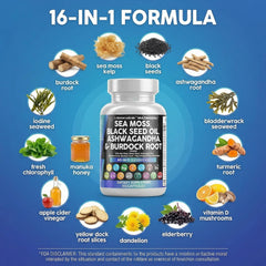 Clean Nutraceuticals bladderwrack burdock root pills highlighting mineral-rich digestion support.