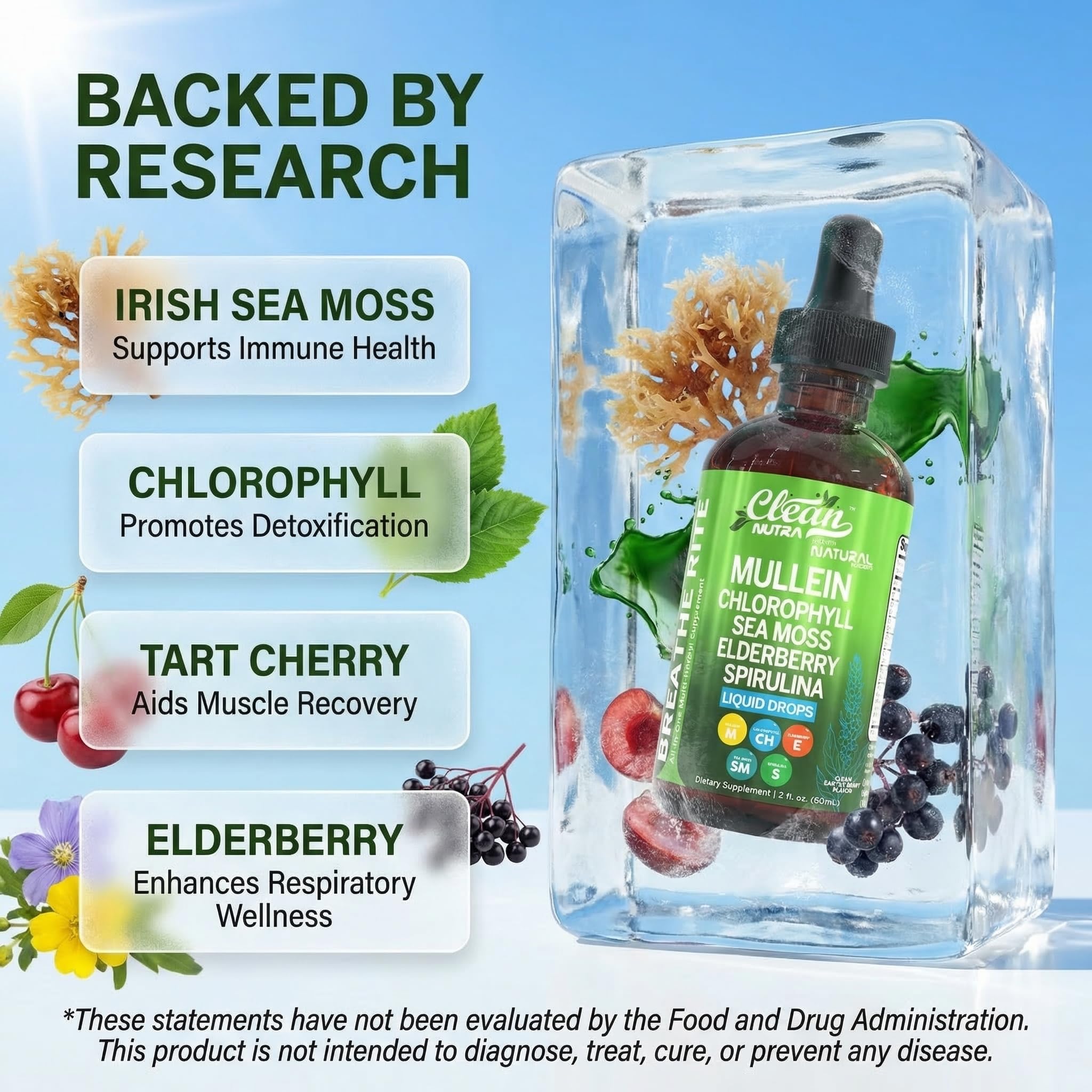 Clean Nutraceuticals Mullein Drops elderberry and sea moss blend for immune-friendly lung support