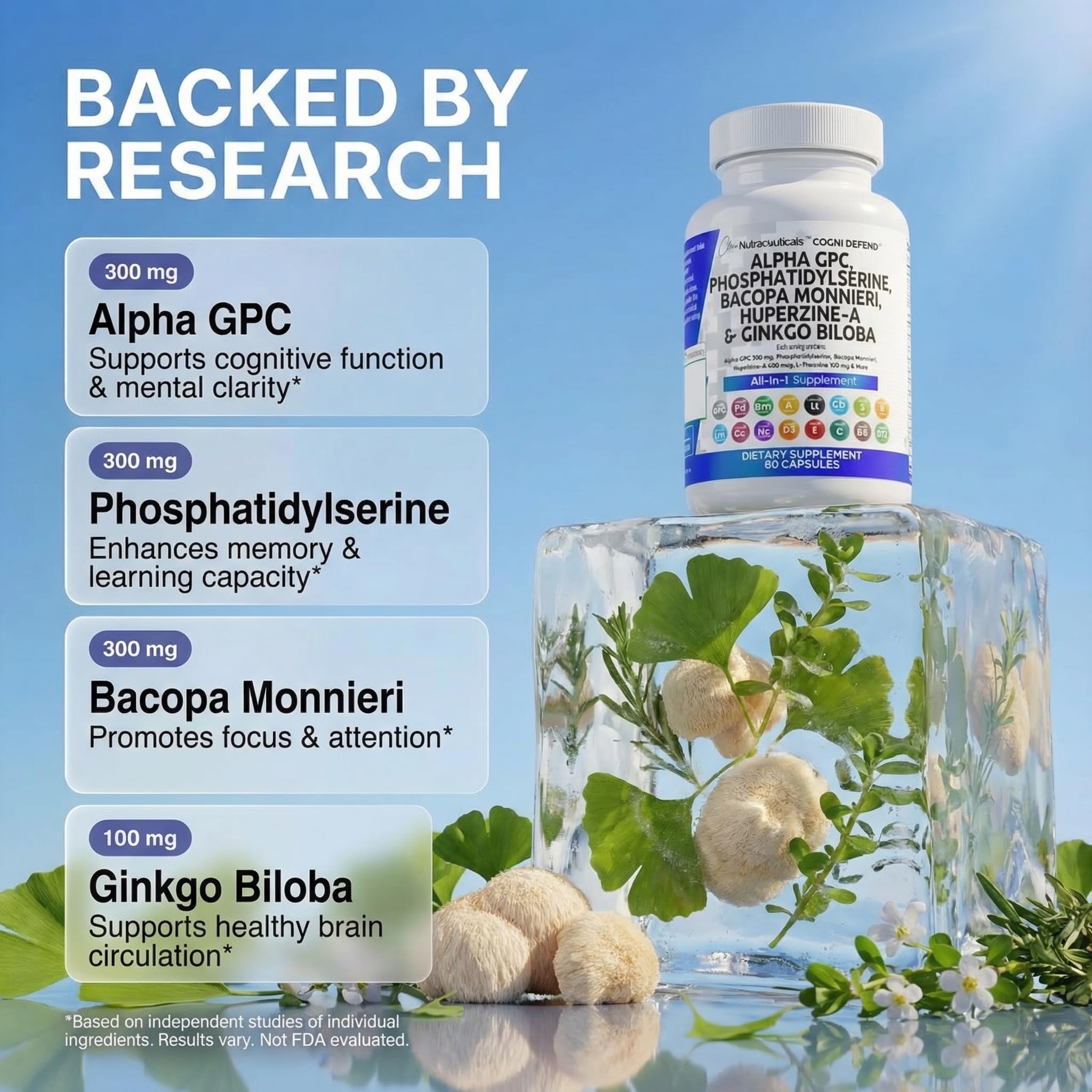 Clean Nutraceuticals Ginkgo Biloba capsule for healthy circulation and mental clarity.