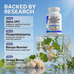Clean Nutraceuticals Ginkgo Biloba capsule for healthy circulation and mental clarity.