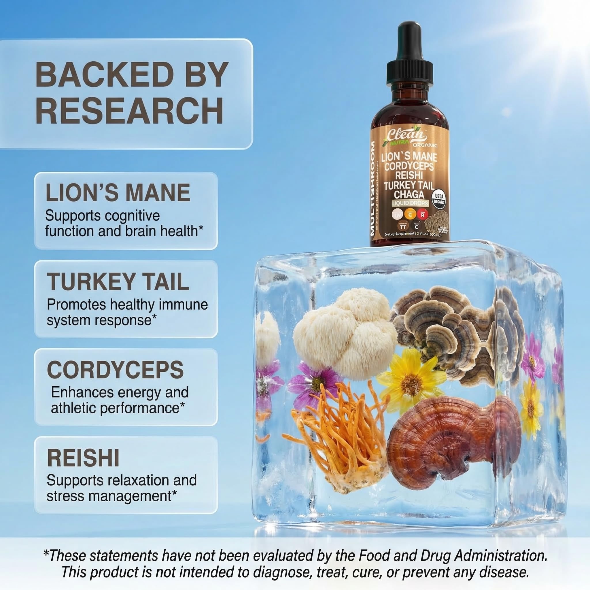 Clean Nutraceuticals lions mane liquid closeup for enhanced focus