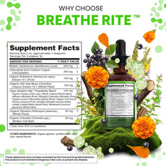 Clean Nutraceuticals Mullein Drops blend featuring lobelia and marshmallow for respiratory comfort