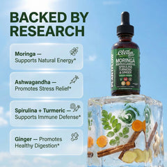 Clean Nutraceuticals Moringa Drops ingredients close-up highlighting moringa blend.