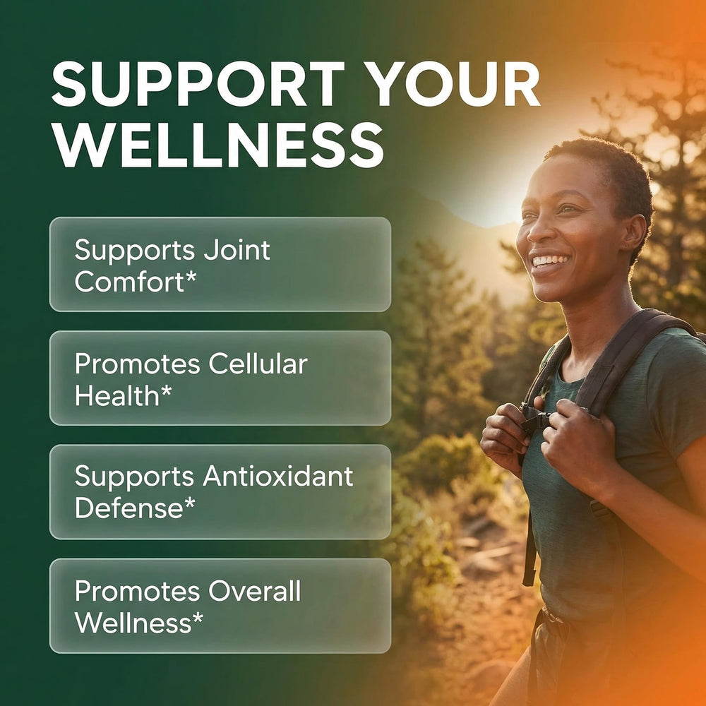 Clean Nutraceuticals moringa leaf capsules highlight natural nutrients for daily wellness.