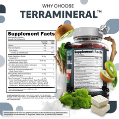 Clean Nutraceuticals Terramineral Ashwagandha Gummies bottle promotes calm focus