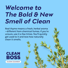 CleanBoss multi-surface-cleaner-application demonstrates versatility on various surfaces.