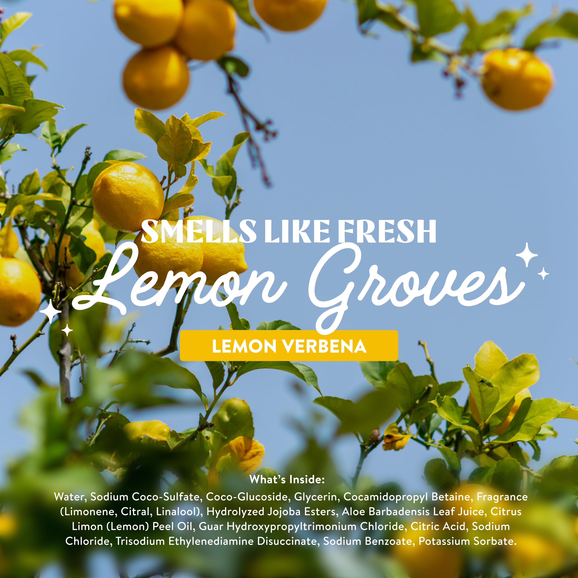 Phthalate- and sulfate-free formulation supports gentle cleansing