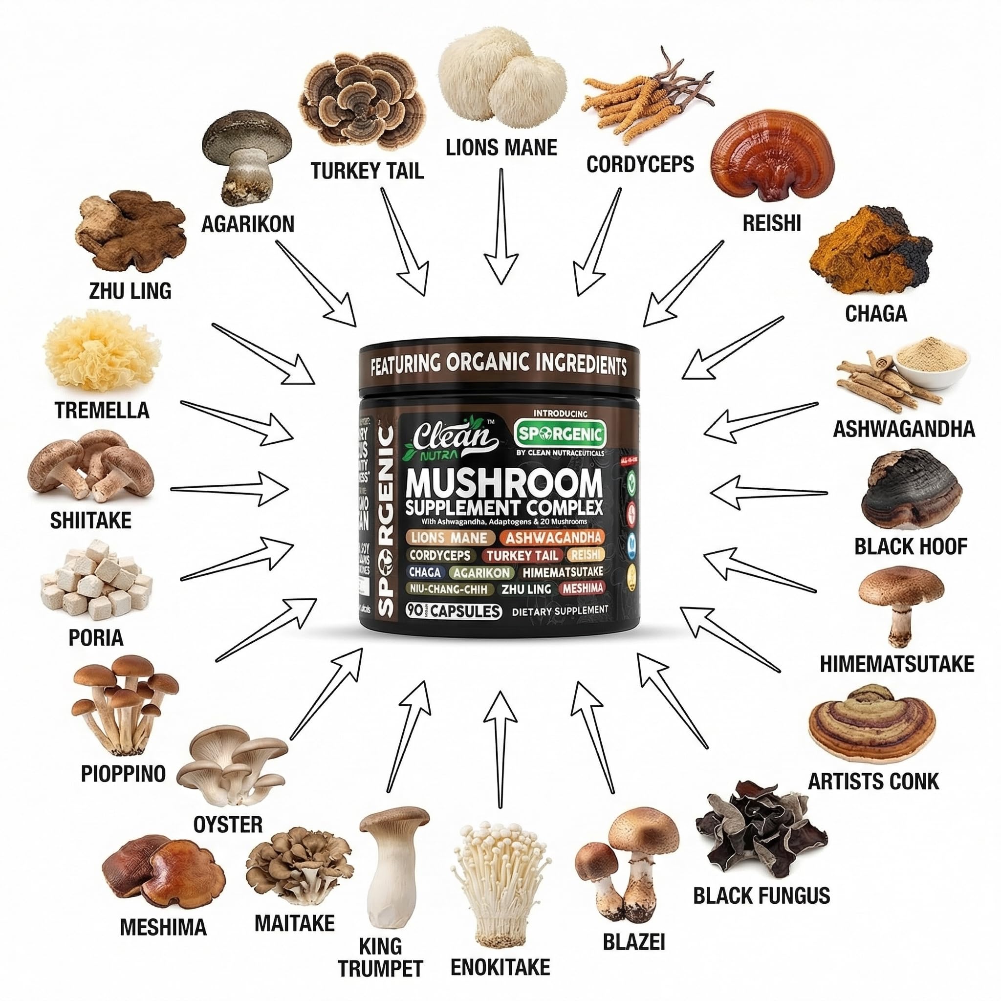 Clean Nutraceuticals Agarikon Tremella Shiitake capsules aiding nutrient absorption