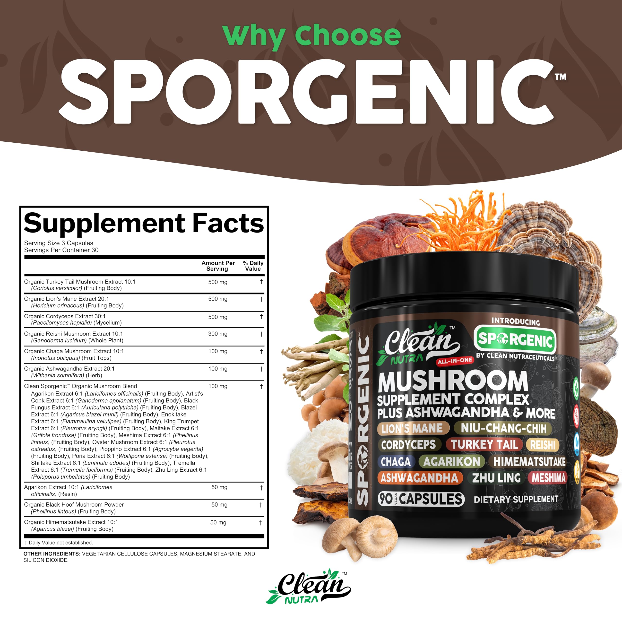 Clean Nutraceuticals Black Hoof mushroom capsules for overall vitality