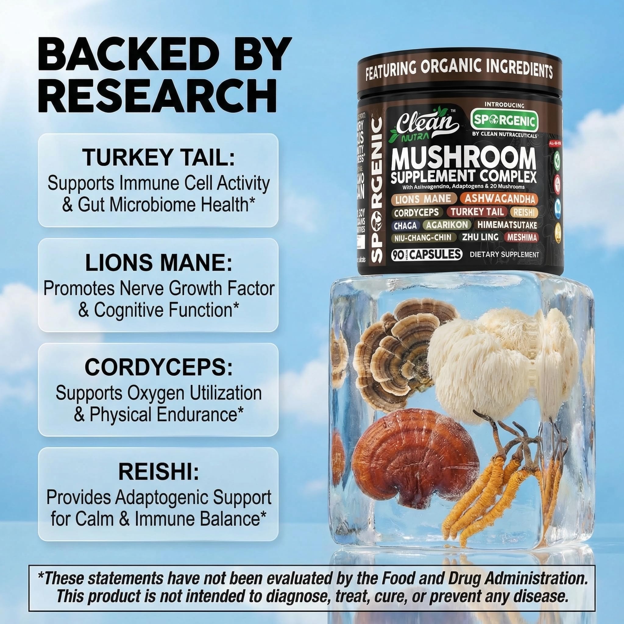 Clean Nutraceuticals Reishi Chaga capsules for nerve health and hydration