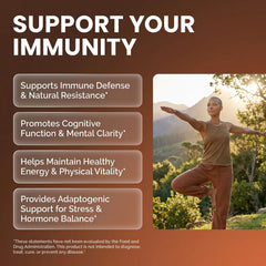 Clean Nutraceuticals Turkey Tail Cordyceps capsules for immune support