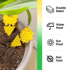 Cleanuper butterfly shape trap blends decor while catching flies and midges.