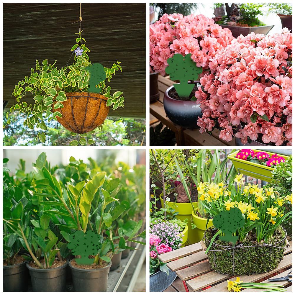 Cleanuper plant protection trap hanging keeps pests away from pots and greenery.